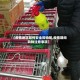 【疫情地区如何安全购物呢,疫情期间购物注意事项】
