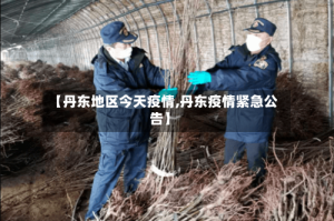 【丹东地区今天疫情,丹东疫情紧急公告】