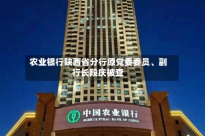 农业银行陕西省分行原党委委员、副行长段庆被查