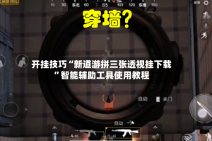 开挂技巧“新道游拼三张透视挂下载”智能辅助工具使用教程
