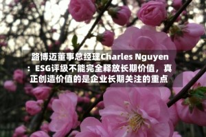 路博迈董事总经理Charles Nguyen：ESG评级不能完全释放长期价值，真正创造价值的是企业长期关注的重点
