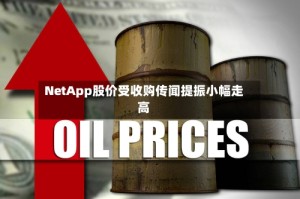 NetApp股价受收购传闻提振小幅走高