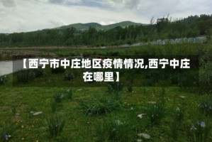 【西宁市中庄地区疫情情况,西宁中庄在哪里】