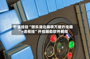 秒懂经验“微乐湖北麻将万能开挂器”+透视挂”开挂辅助软件教程