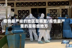 疫情最严峻的地区是哪里/疫情最严重的是哪些地方
