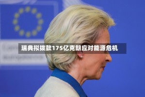 瑞典拟拨款175亿克朗应对能源危机