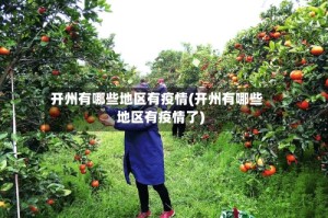 开州有哪些地区有疫情(开州有哪些地区有疫情了)