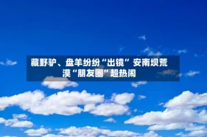 藏野驴、盘羊纷纷“出镜” 安南坝荒漠“朋友圈”超热闹