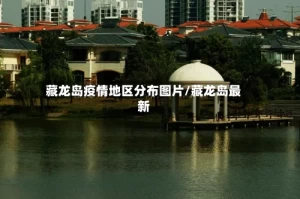 藏龙岛疫情地区分布图片/藏龙岛最新