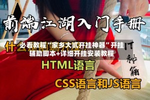 必看教程“家乡大贰开挂神器”开挂辅助脚本+详细开挂安装教程