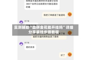实测辅助“血拼金花能开挂吗”详细分享装挂步骤教程