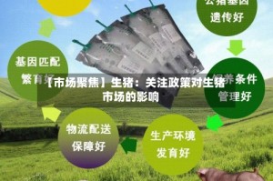 【市场聚焦】生猪：关注政策对生猪市场的影响