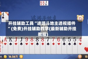 开挂辅助工具“途游斗地主透视插件”(免费)开挂辅助教学(最新辅助开挂教程)