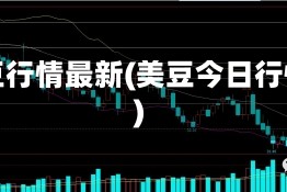 美豆行情最新(美豆今日行情)