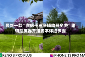 最新一款“微信十三张辅助器免费”附辅助神器开挂脚本详细步骤