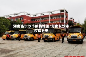 湖南省长沙市疫情地区/湖南长沙市疫情分布