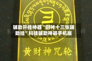 辅助开挂神器“财神十三张辅助挂”科技辅助神器手机版