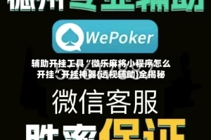 辅助开挂工具“微乐麻将小程序怎么开挂”开挂神器{透视辅助}全揭秘