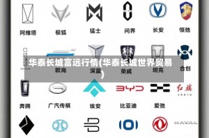 华泰长城富远行情(华泰长城世界贸易)