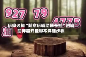 玩家必知“随意玩辅助器开挂”附辅助神器开挂脚本详细步骤