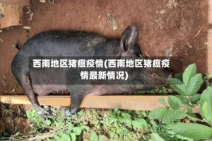 西南地区猪瘟疫情(西南地区猪瘟疫情最新情况)