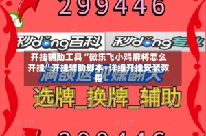 开挂辅助工具“微乐飞小鸡麻将怎么开挂”开挂辅助脚本+详细开挂安装教程