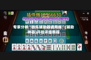 专家分析“微乐辅助器通用版”(辅助神器)开挂详细教程