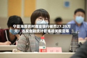 宁夏海原农村商业银行被罚27.25万元：违反金融统计管理相关规定等