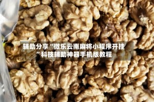 辅助分享“微乐云南麻将小程序开挂”科技辅助神器手机版教程