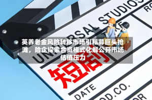 英养老金风险转移市场引私募巨头抢滩，险企探索合资模式化解公开市场估值压力