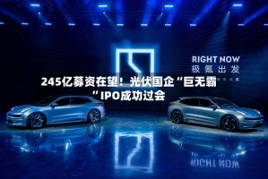 245亿募资在望！光伏国企“巨无霸”IPO成功过会