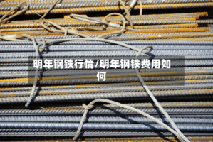 明年钢铁行情/明年钢铁费用如何