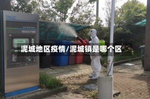 泥城地区疫情/泥城镇是哪个区
