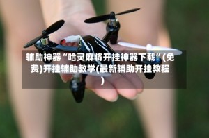 辅助神器“哈灵麻将开挂神器下载”(免费)开挂辅助教学(最新辅助开挂教程)