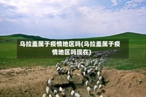 乌拉盖属于疫情地区吗(乌拉盖属于疫情地区吗现在)