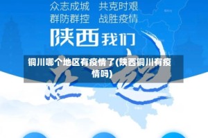 铜川哪个地区有疫情了(陕西铜川有疫情吗)