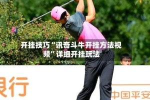 开挂技巧“讯奇斗牛开挂方法视频”详细开挂玩法