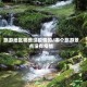 旅游地区哪些没疫情的/哪个旅游景点没有疫情