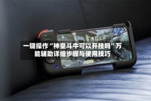 一键操作“神皇斗牛可以开挂吗”万能辅助详细步骤与使用技巧