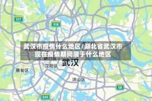 武汉市疫情什么地区/湖北省武汉市现在疫情期间属于什么地区