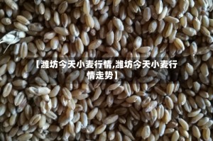 【潍坊今天小麦行情,潍坊今天小麦行情走势】