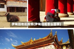 伊甸园地区疫情(伊甸园是怎么回事)