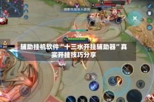 辅助挂机软件“十三水开挂辅助器”真实开挂技巧分享