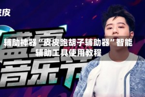 辅助神器“皮皮跑胡子辅助器”智能辅助工具使用教程