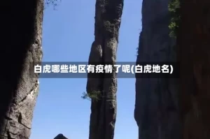 白虎哪些地区有疫情了呢(白虎地名)