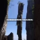 白虎哪些地区有疫情了呢(白虎地名)