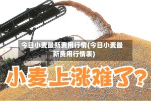 今日小麦最新费用行情(今日小麦最新费用行情表)