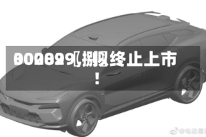 00289〖捌〗、300029，拟终止上市！