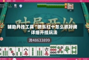 辅助开挂工具“微乐红十怎么抓好牌”详细开挂玩法