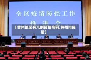 【黄州地区有几例疫情病例,黄州市疫情】